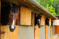 free Thorney Island stable construction quotes